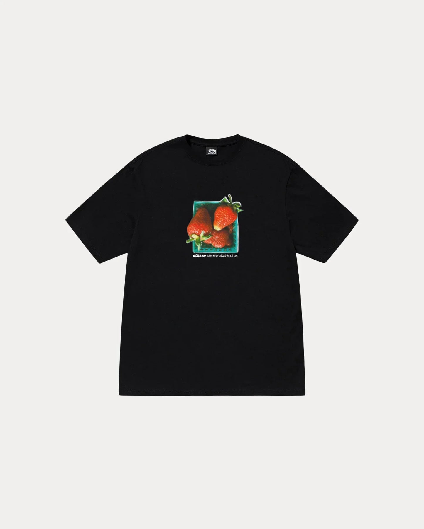 STUSSY BERRIES TEE