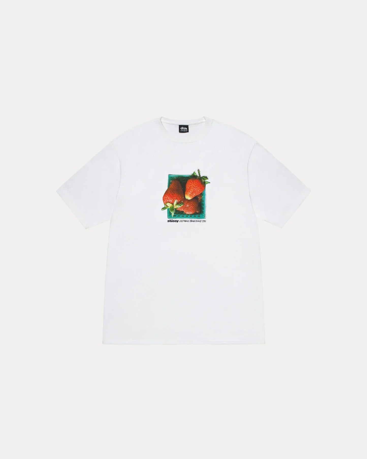 STUSSY BERRIES TEE